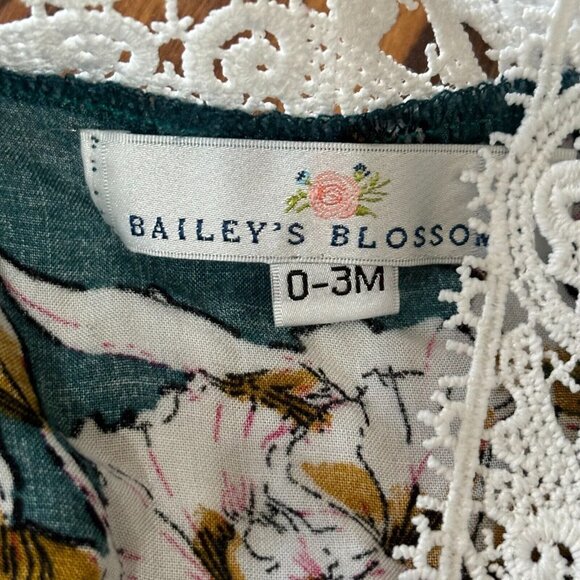 Baby Girls Clothes Lot 10 Piece Spring Summer Outfit Dresses Rompers 0-3 Months - Picture 3 of 16